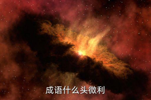 什么是微利，微保是什么怎么進(jìn)入微保誰知道