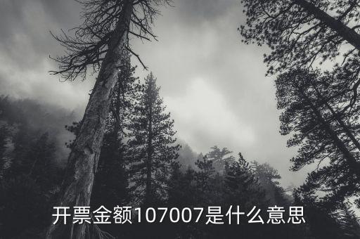開票金額是什么意思，增值稅專用發(fā)票的各項(xiàng)金額分別是什么含義