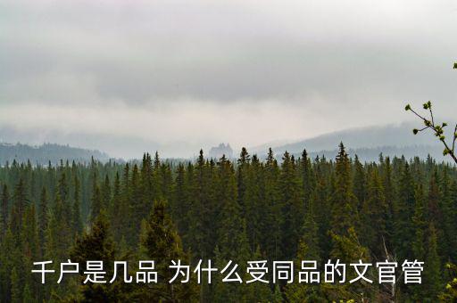 什么千戶集團，千戶是什么意思