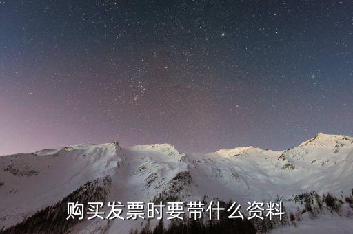 購發(fā)票 帶什么資料，購買增值稅普通發(fā)票需要帶什么資料