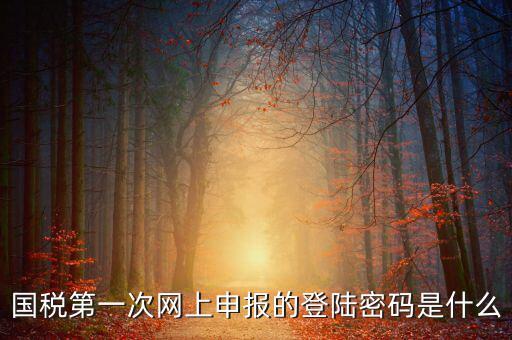 網(wǎng)上稅稅通密碼是什么，國稅第一次網(wǎng)上申報(bào)的登陸密碼是什么