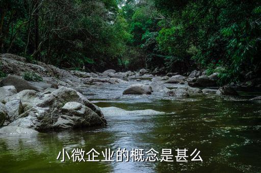 小微企業(yè)包括什么意思，微型企業(yè)是什么啊