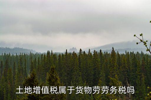 土地增值稅屬于什么稅種，土地增值稅是什么