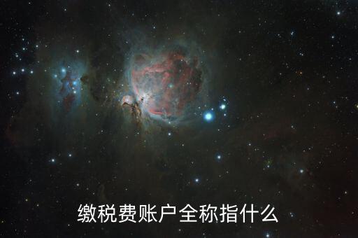 納稅賬戶(hù)是什么，我們公司申請(qǐng)的一個(gè)專(zhuān)門(mén)用來(lái)繳納稅款的賬戶(hù)是什么賬戶(hù)