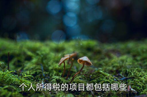 所得項目填什么，個人所得稅必須要填寫六項嗎我沒一項符合