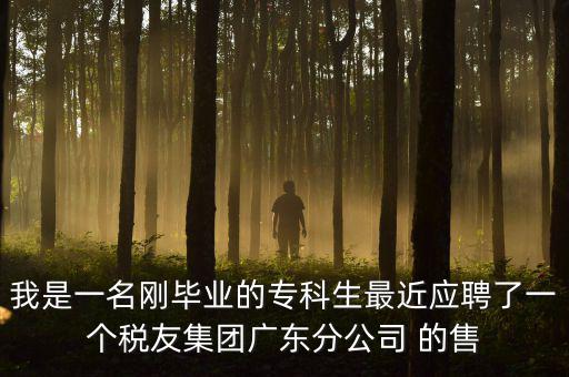 我是一名剛畢業(yè)的?？粕罱鼞?yīng)聘了一個(gè)稅友集團(tuán)廣東分公司 的售