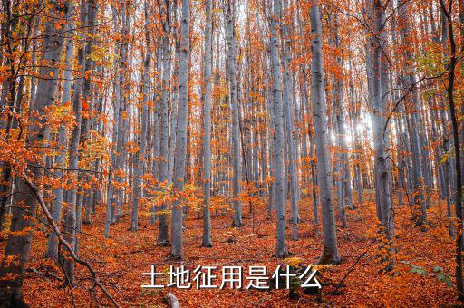 什么是土地報征，什么是征集土地
