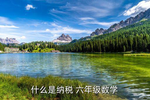 什么是納稅 六年級數(shù)學