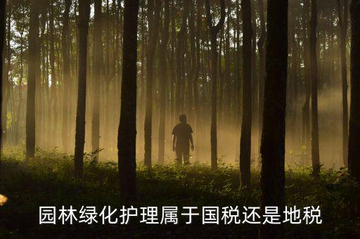 綠化養(yǎng)護(hù)屬于什么稅種，園林綠化護(hù)理屬于國稅還是地稅
