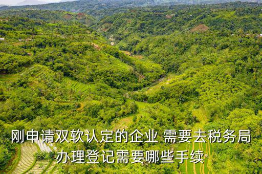 剛申請雙軟認定的企業(yè) 需要去稅務(wù)局辦理登記需要哪些手續(xù)