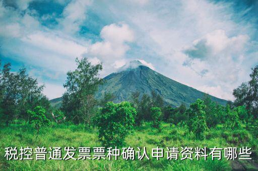 票種核定申請交什么資料，發(fā)票票種核定調(diào)整被拒需要提供什么資料