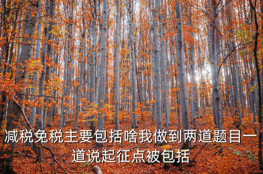 什么是減稅免稅，什么是稅收法定減免