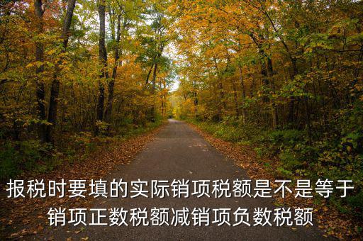 報稅時要填的實際銷項稅額是不是等于銷項正數(shù)稅額減銷項負(fù)數(shù)稅額