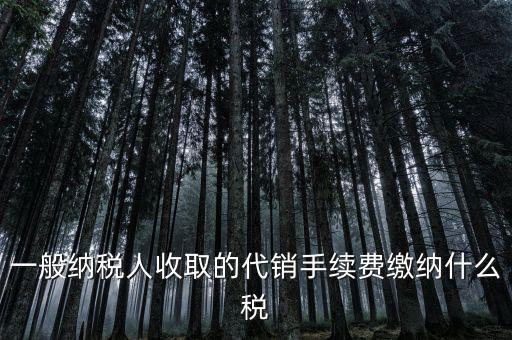 代理服務(wù)費交什么稅，一般納稅人收取的代銷手續(xù)費繳納什么稅