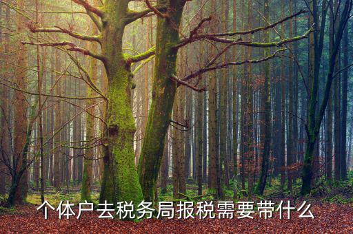 個體戶定稅需要帶什么意思，個體戶去稅局交稅都需要帶甚么