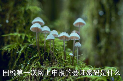 國(guó)稅登記密碼是什么，國(guó)稅第一次網(wǎng)上申報(bào)的登陸密碼是什么