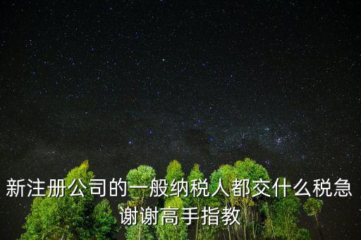 新注冊(cè)公司是什么納稅人，新辦企業(yè)是一般納稅人還是小規(guī)模納稅人