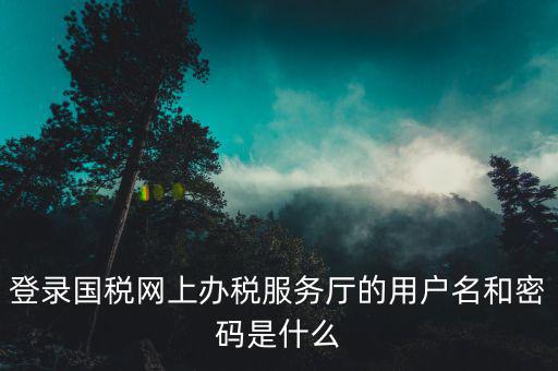 電子稅務局登錄密碼是什么，國稅第一次網(wǎng)上申報的登陸密碼是什么