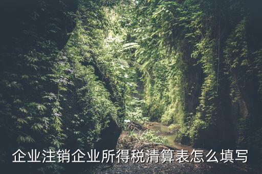 企業(yè)注銷企業(yè)所得稅清算表怎么填寫(xiě)