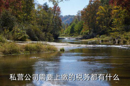 民營企業(yè)需要地稅什么服務(wù)，私營公司需要上繳的稅務(wù)都有什么