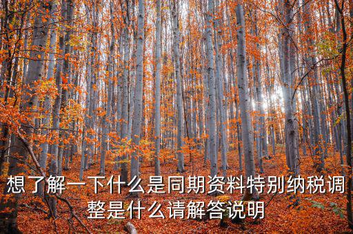 什么是特別納稅調(diào)整監(jiān)控管理階段，想了解一下什么是同期資料特別納稅調(diào)整是什么請解答說明
