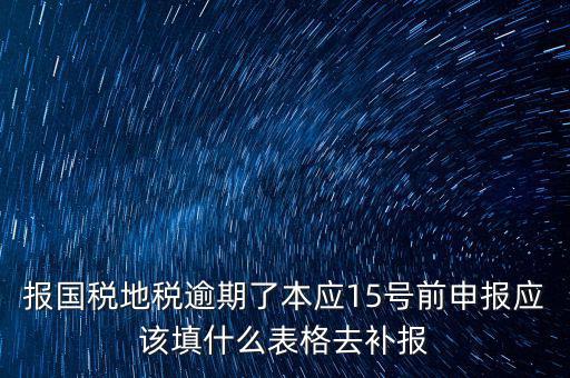 補錄國地稅信息都錄什么，報國稅地稅逾期了本應15號前申報應該填什么表格去補報