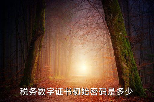 稅務數字證書初始密碼是多少