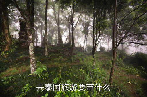 稅務局的信仰是什么，道德模范有哪些