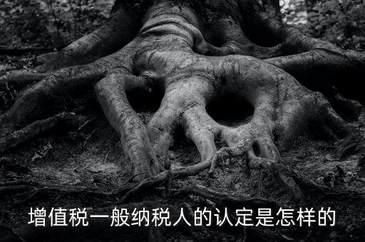 一般納稅人認(rèn)證是什么，一般納稅人資格證什么