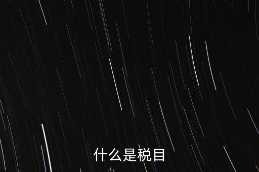 什么是稅法 文化，中華人民共和國地稅法