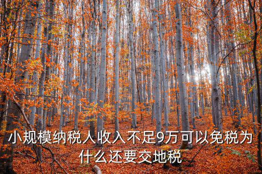 為什么納地稅，為什么要規(guī)定納稅地點(diǎn)