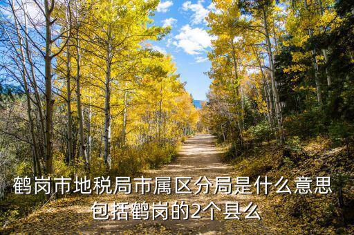 片區(qū)稅務(wù)分局是什么，陽(yáng)宗海片區(qū)屬于哪個(gè)稅務(wù)局