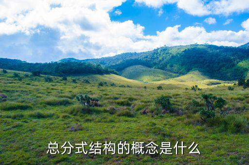 總分機(jī)構(gòu)標(biāo)志是什么意思，總分機(jī)構(gòu)納稅人是什么意思