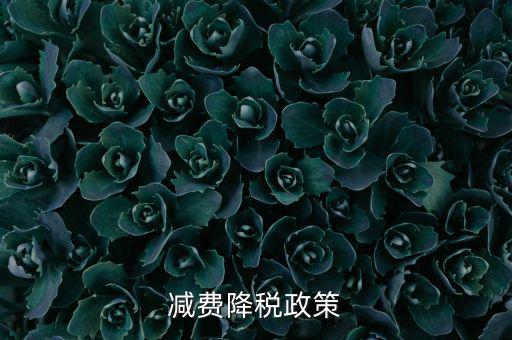 做好6項(xiàng)減稅政策的內(nèi)容是什么，減費(fèi)降稅政策