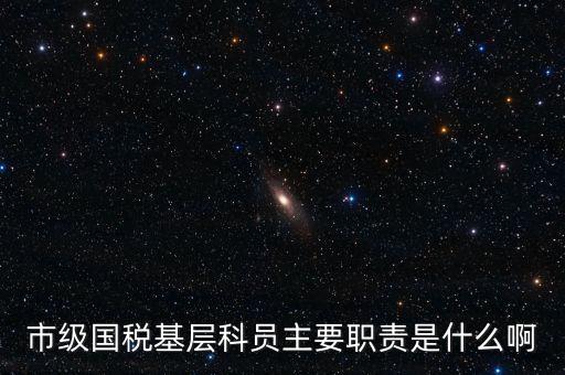 基層國稅辦公室做什么，請問國稅局基層分局科員縣域主要負(fù)責(zé)什么工作