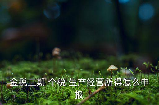 金三申報申報什么，金三系統(tǒng)怎樣申報企業(yè)所得稅稅收優(yōu)惠