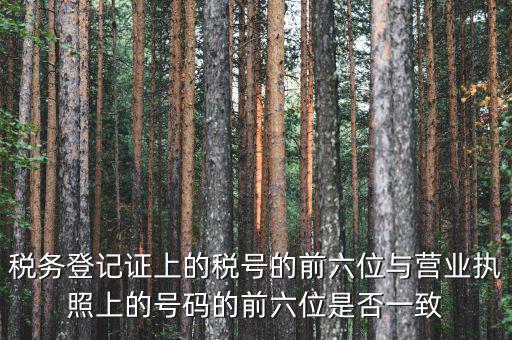 稅號前六位代表什么，納稅識別號前六位數(shù)為140111是什么意思