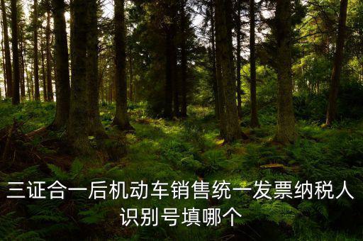 統(tǒng)一納稅識別號是什么，三證合一后機(jī)動車銷售統(tǒng)一發(fā)票納稅人識別號填哪個