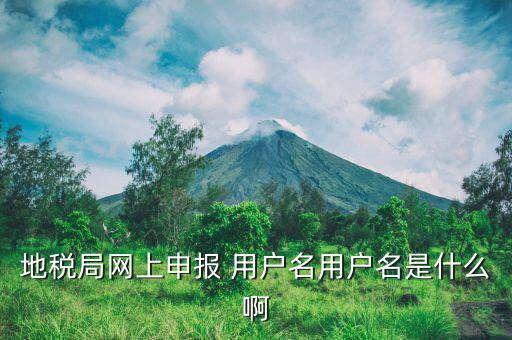 地稅注冊用戶名是什么意思，地稅的用戶名是什么