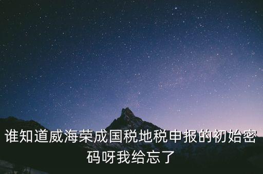 申報(bào)地稅的密碼是什么，徐州地稅網(wǎng)上申報(bào)的初始密碼是多少啊