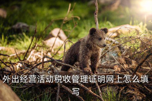 外管證編號是什么，外出經(jīng)營活動稅收管理證明網(wǎng)上怎么填寫