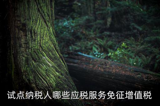 家政服務(wù)免增值稅什么業(yè)務(wù)免，家政服務(wù)企業(yè)的什么收入可以免征增值稅
