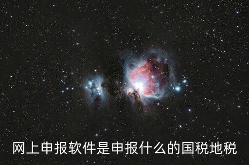 國稅申報軟件是什么，申報軟件是什么