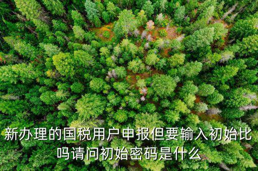 初始申報密碼是什么，小關(guān)稅務(wù)所 新企業(yè) 網(wǎng)上納稅申報初始密碼是什么