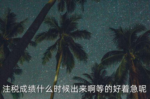 注稅成績什么時候出來啊等的好著急呢