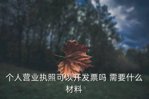 個體打印發(fā)票需要什么，個人購物開增值稅普通發(fā)票需要什么資料