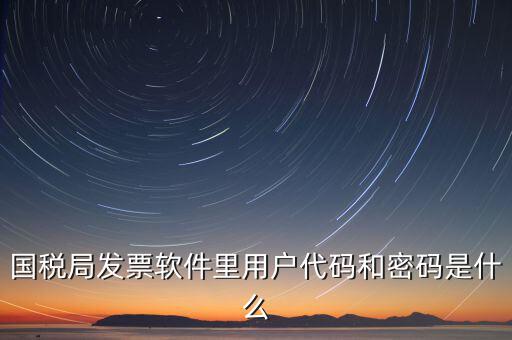 發(fā)票代碼 號(hào)碼 密碼是什么樣的，國(guó)稅局發(fā)票軟件里用戶代碼和密碼是什么