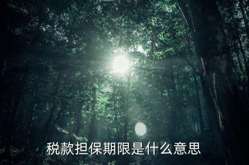 納稅擔(dān)保人什么意思，稅款擔(dān)保期限是什么意思