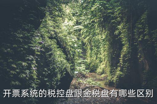 金稅盤和稅控盤什么區(qū)別，金稅盤和稅控盤開出的發(fā)票有什么區(qū)別