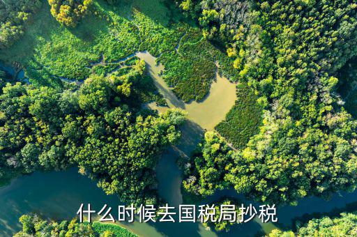 一般納稅人什么時候抄稅，什么時候去國稅局抄稅